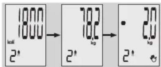 EXACTA GBF 9200 - Analiza ciasta - 7