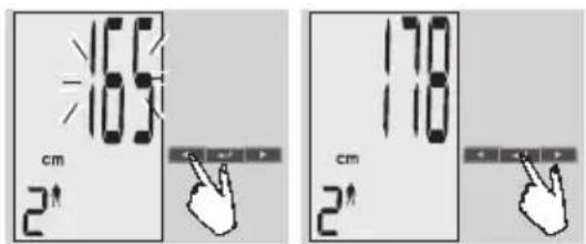 EXACTA GBF 9200 - Preparation - 3