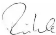 Flex LE 147 125 INOX - Conformità C€ - 1