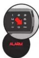 Master Lock LFW205TWC - Impostazione dell'allarme - 1