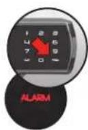 Master Lock LFW205TWC - Alarmin Ayarlanması - 1