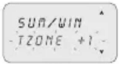 ABB D2 Synchro - Time Zone GPS (only GPS and DCF77 models) - 2