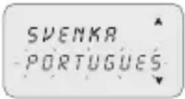 ABB D2 Synchro - 3-8-1 Idiomas - 2