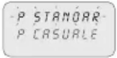 ABB D2 Synchro - Sezione del tipo di programma (esempio con P Standard): - 1