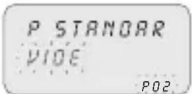 ABB D2 Plus - Selection du type de programme (exemple avec P Standard) : - 3