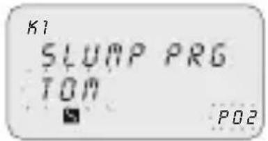 ABB D1 Synchro - 2-6 Radera ett program (snabbmetod) - 3