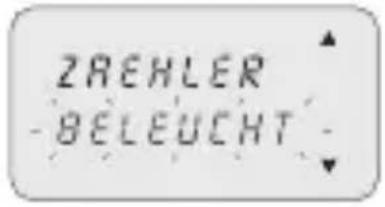 ABB D1 Synchro - 3-8-6 Beleuchtung - 1