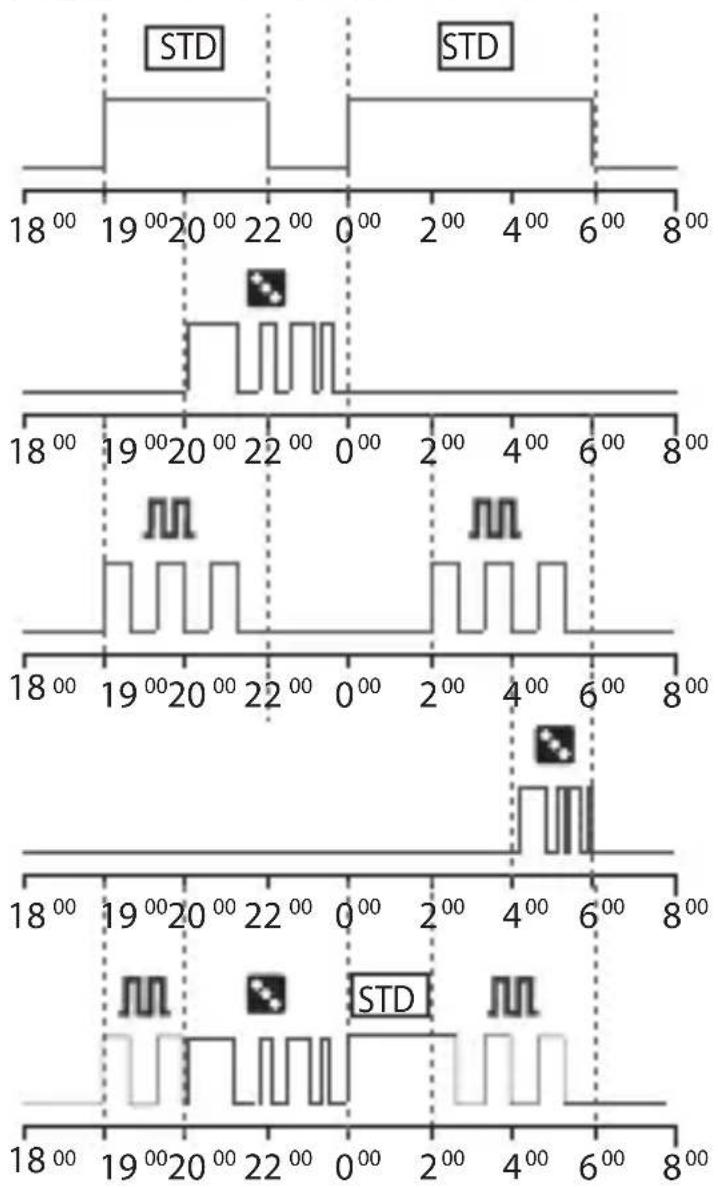 ABB D1 Synchro - 2-2 Forcing priority and programs - 1