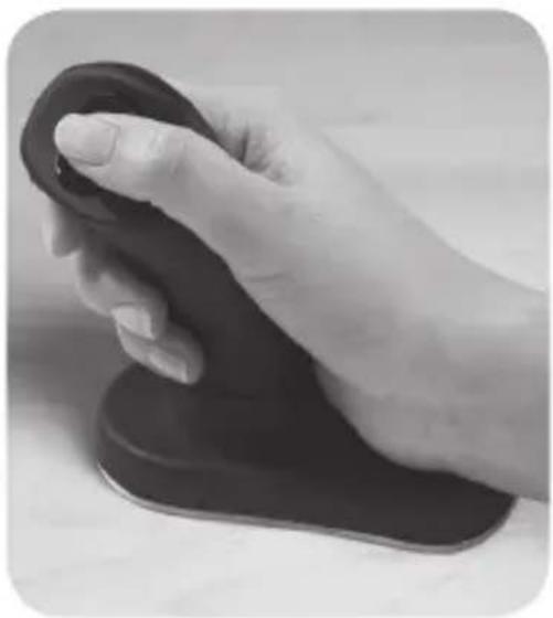 3M Ergonomic EM500GPL - 2D - 1