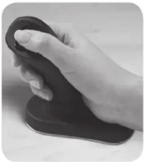 3M Ergonomic EM500GPL - 2D - 1