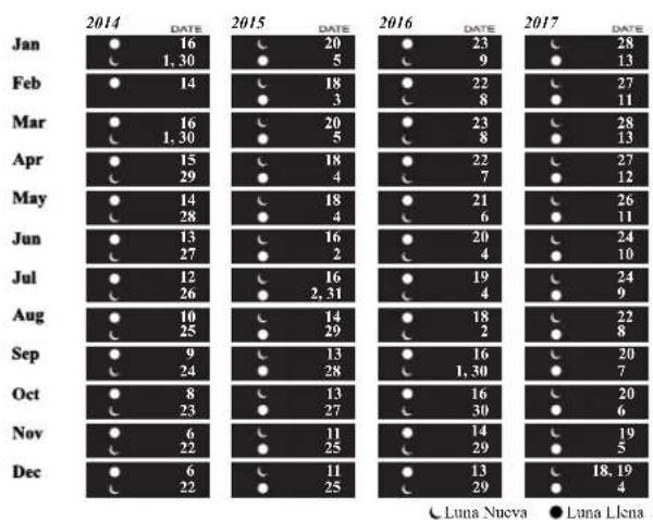 Ball Engineer II NM2028CL4CJBK - MODELOS: NM1082, NM2082, NL3082, NM3082 - 1