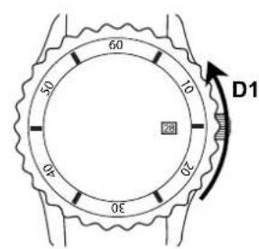 Ball Trainmaster NM2080DSJSL - MODELOS:NM3022 - 1