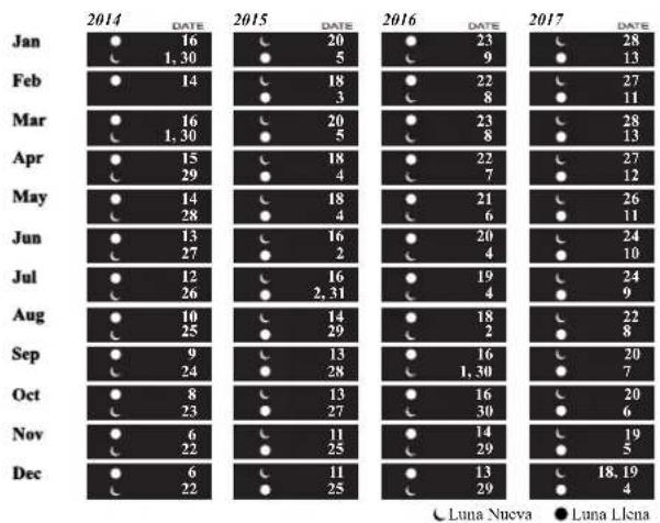 Ball Trainmaster NM1058DS3JWH - MODELOS: NM1082, NM2082, NL3082, NM3082 - 1
