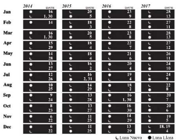 Ball Trainmaster GM1038DS7JWH - MODELOS: NM1082, NM2082, NL3082, NM3082 - 1