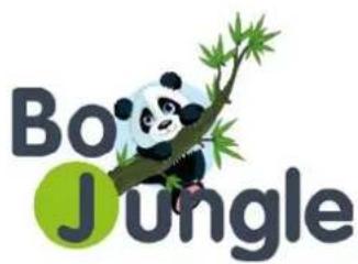 Bo Jungle BBottle - B-Bottle Warmer Superfast Digital Car &amp; Home - 2