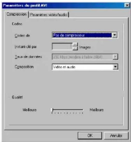 CYBERLINK PowerDirector 2.1 - Configuration de profils AVI - 1