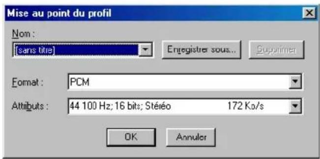 CYBERLINK PowerDirector 2.1 - Capture de son et d'image - 6