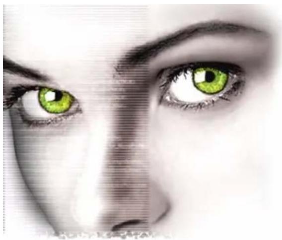 CYBERLINK PowerDirector 2.1 - Filigrane maître - 2