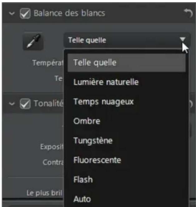 CYBERLINK PhotoDirector 5 - Balance des blancs sur les photos RAW - 1