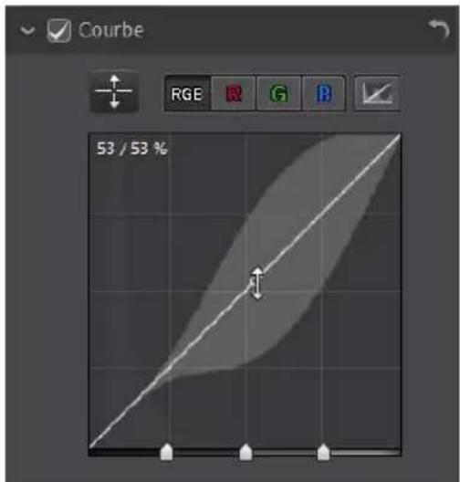CYBERLINK PhotoDirector 5 - Courbe - 1