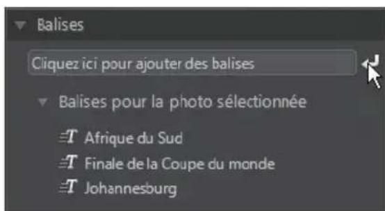 CYBERLINK PhotoDirector 5 - Onglet Metadonnées - 5