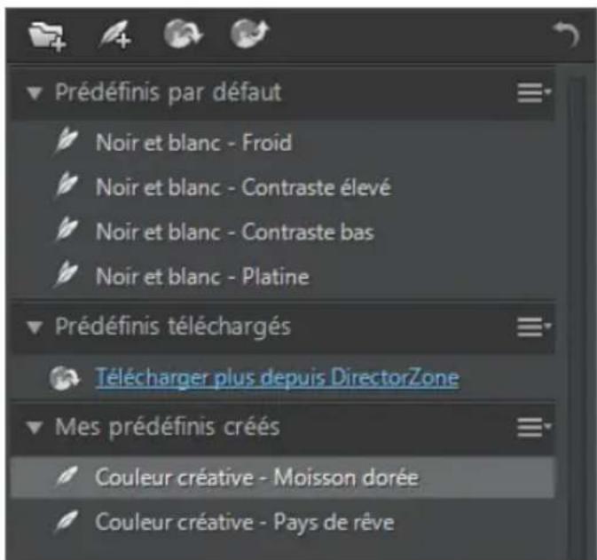 CYBERLINK PhotoDirector 5 - Utiliser les réglages prédéfinis - 1