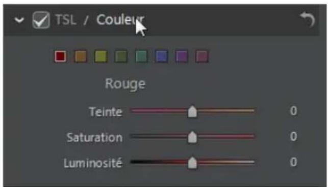 CYBERLINK PhotoDirector 5 - Couleur - 1