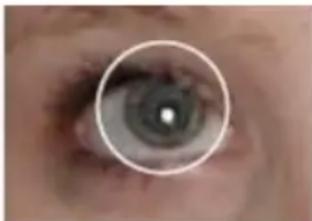 CYBERLINK PhotoDirector 5 - Correction des yeux rouges - 3