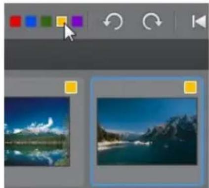 CYBERLINK PhotoDirector 5 - Barre d'outils de la visionneuse de photos - 2