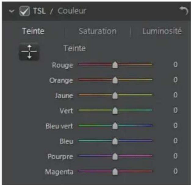 CYBERLINK PhotoDirector 5 - TSL - 1