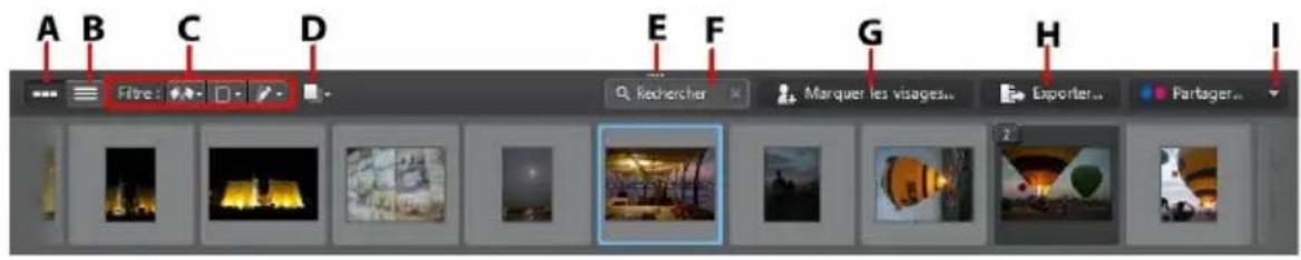 CYBERLINK PhotoDirector 5 - Panneau du navigateur de photos - 1