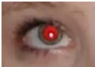 CYBERLINK PhotoDirector 5 - Correction des yeux rouges - 1
