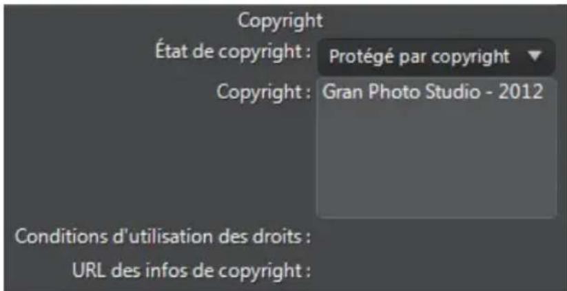 CYBERLINK PhotoDirector 5 - Onglet Metadonnées - 3