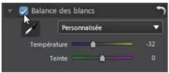CYBERLINK PhotoDirector 5 - Activé/désactiver les réglages - 1