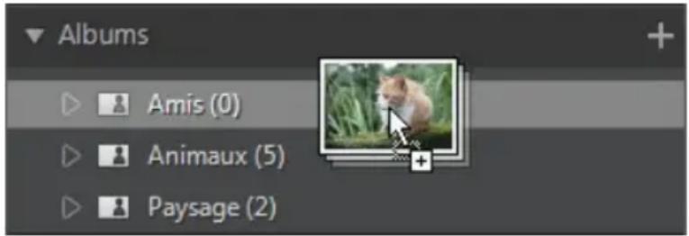 CYBERLINK PhotoDirector 5 - Albums - 1