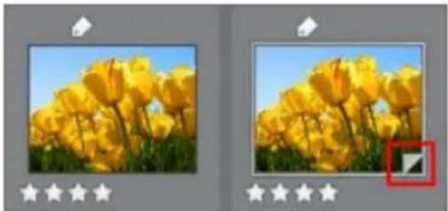 CYBERLINK PhotoDirector 5 - Créer des photos virtuelles - 1