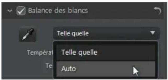CYBERLINK PhotoDirector 5 - Balance des blancs - 2