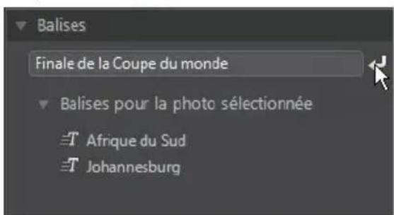 CYBERLINK PhotoDirector 5 - Onglet Metadonnées - 4