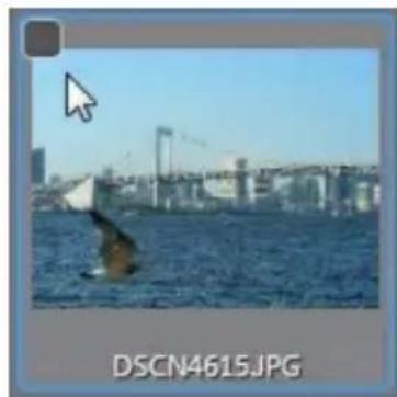 CYBERLINK PhotoDirector 5 - Importer les photos dans la bibliothèque - 1