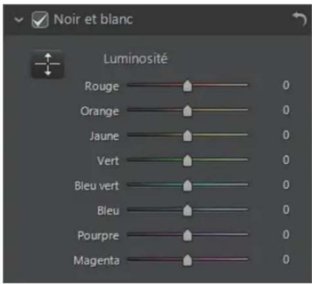 CYBERLINK PhotoDirector 5 - Mélange noir et blanc - 1