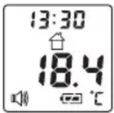 BEURER FT 100 - Medición de la temperatura de objetos/temperatura ambiente - 2