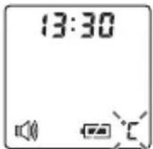 BEURER FT 100 - Inhalt - 1