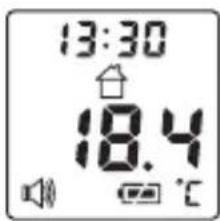 BEURER FT 100 - Misurazione della temperatura superficiale/temperatura ambiente - 2