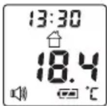 BEURER FT 100 - Messender Objekttemperatur/Raumtemperatur - 3