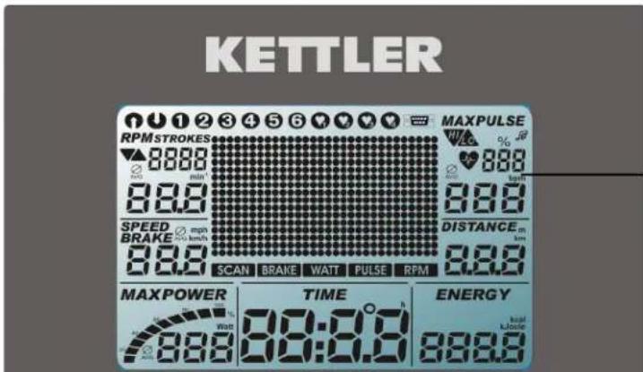 KETTLER CTR 3 - Kurzbeschreibung - 6