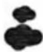 ThinkGizmos TG504 - Previsions meteorologiche - 3