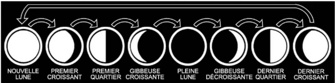 ThinkGizmos TG504 - Indication des phases lunaires et des marées - 1