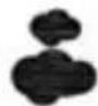 ThinkGizmos TG504 - Previsions meteorologiche - 5
