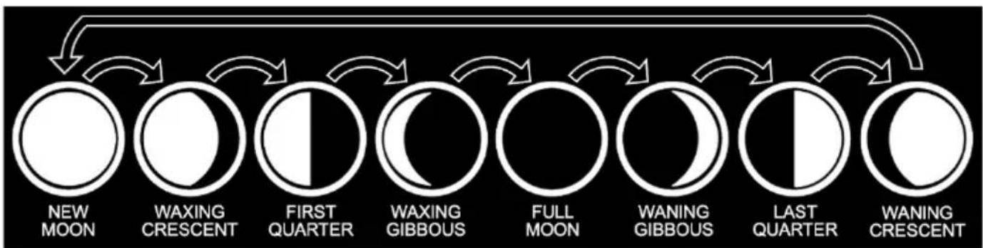 ThinkGizmos TG504 - The Moon Phase and Tide Indicator - 1