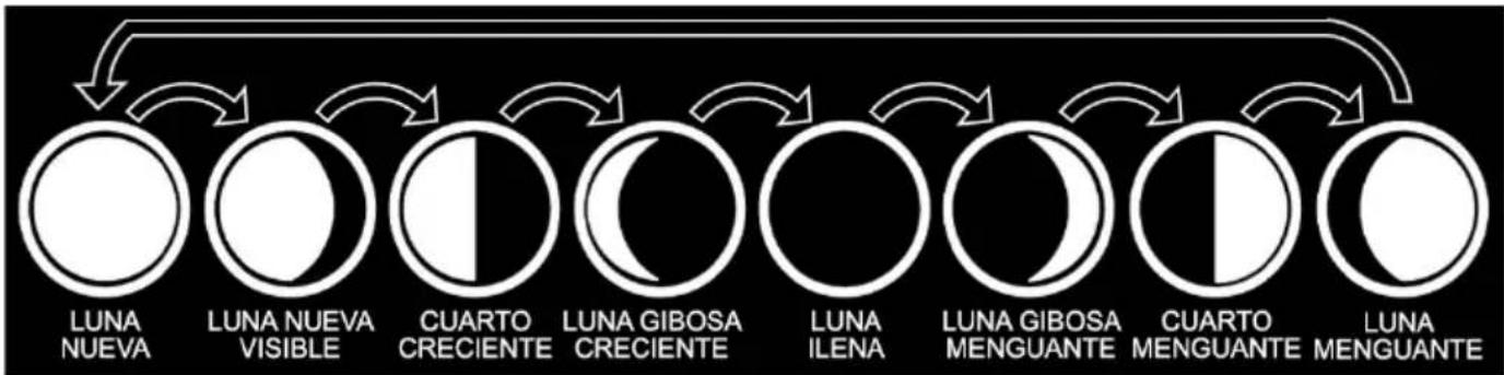 ThinkGizmos TG504 - Indicador de fase lunar y mareas - 1